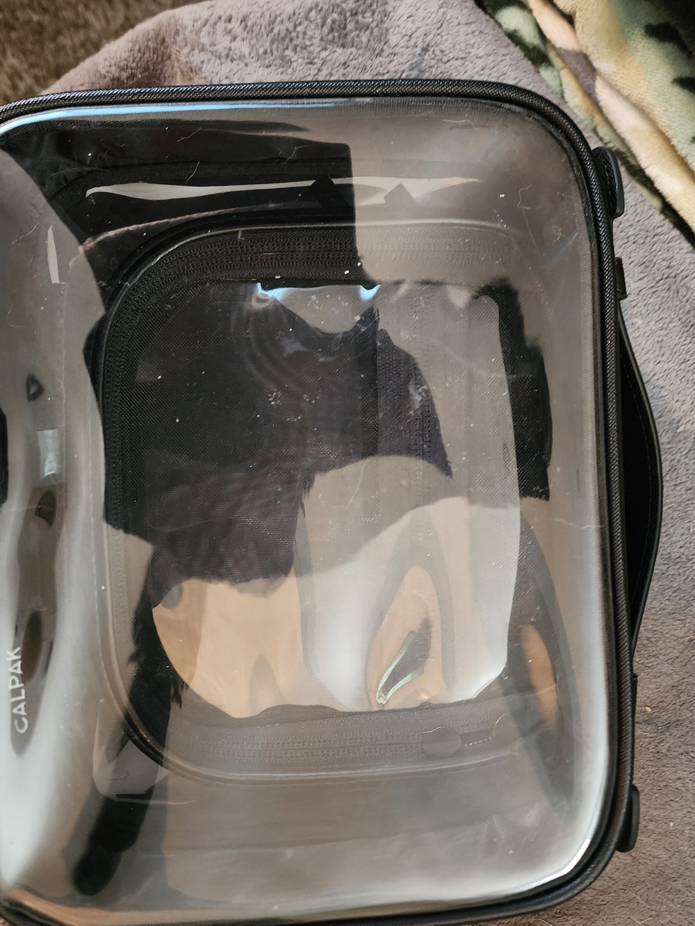 Calpak Clear Cosmetic Case Travel Medium Size - Black - Picture 5 of 8